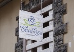 Progettazione e realizzazione logo per attività commerciale Blue Rose Flowers Garden