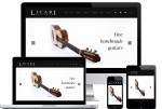 Licari Guitars