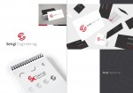 Serigi Engineering | New Logo