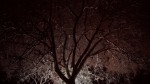 Ghost of Mary - Nothing