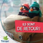 pinguino mascotte Tilman