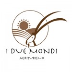 Creazione logo I DUE MONDI