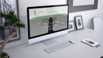Ottimizzazione SEO contenuti blog