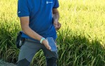 PocketN per BASF Italia