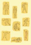 Anatomia