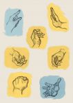 Anatomia