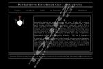 Sito web ottimizzato SEO