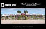 Agriflor Center 2000 Garden - sito