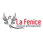 coordinazione di immagine la fenice
