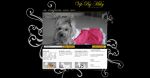 Realizzazione E-commerce Vip By Miky
