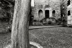 Libri di Fotografia