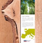 Phaedora - eco villaggi