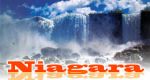 Software - Niagara