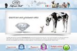 realizzazione sito web: Trilly tutti Brilli