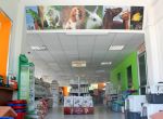 Pet Bazar