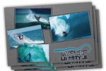 grafica per mysurflyfestyle