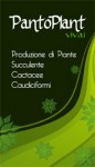 PantoPlant Vivai