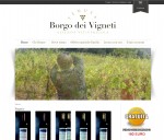 Tenuta borgo dei vigneti
