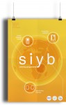 SIYB infografica
