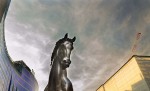 Horse head