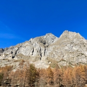 Lauravit