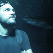 Fabio Colombari