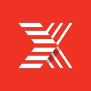 The X Company, Consulenza informatica