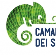 Camaleonte dei Siti WebTM