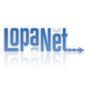 lopanet, web design a Torino