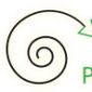 pnpdiproamedeo