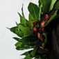 marilu184