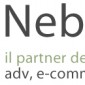 nmconsulting