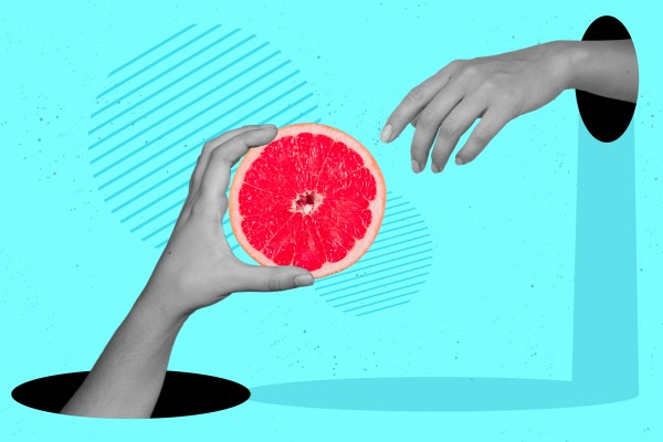 Realizzazione e-commerce