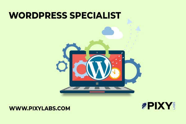 WordPress Specialist