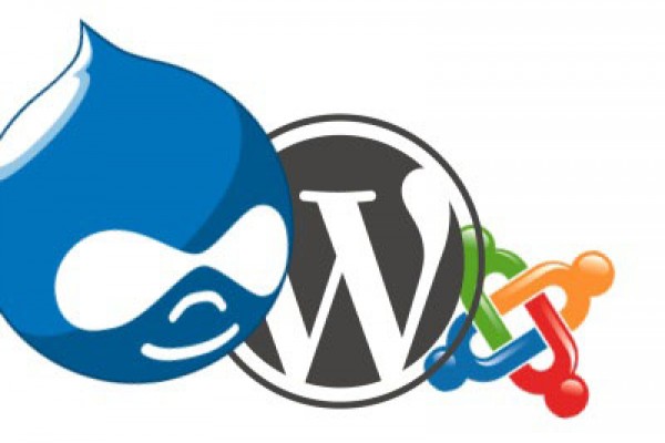 siti web realizzati con CMS Wordpress e Joomla